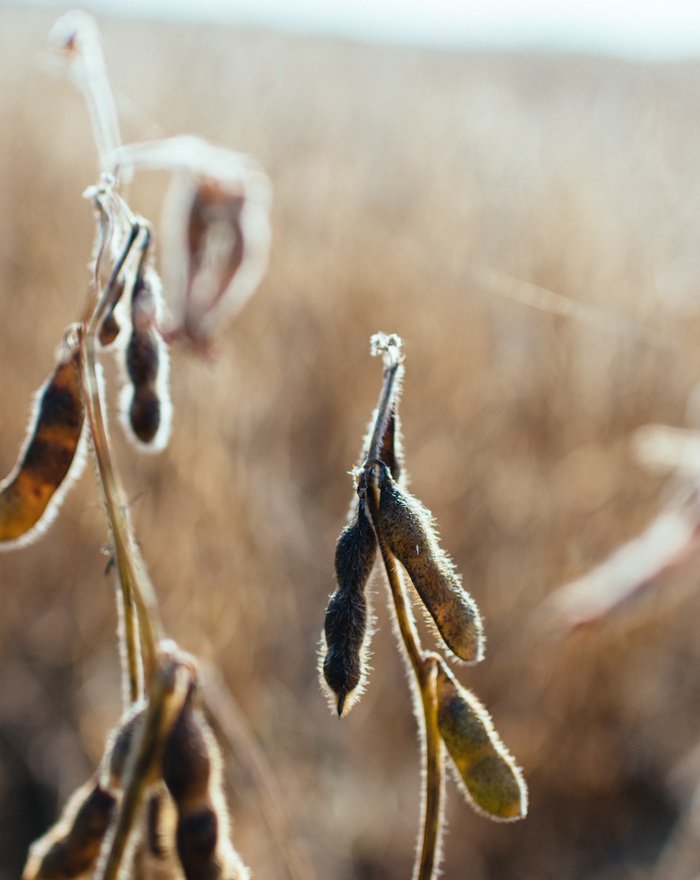 kelly-sikkema-yntEERed0SY-unsplash