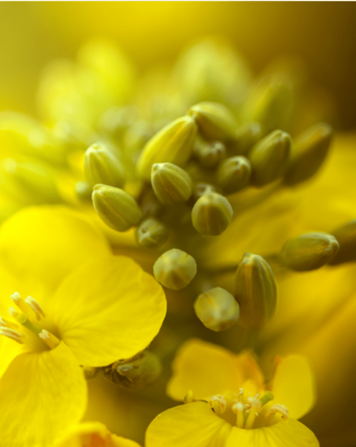 Special Selected Image