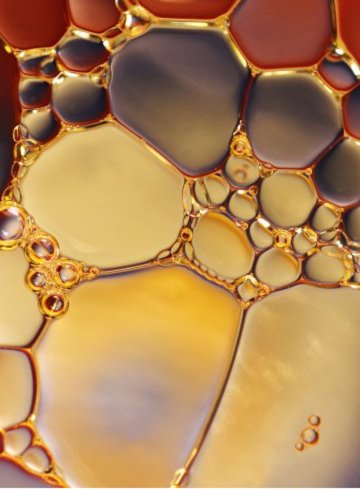 pexels-pixabay-220989 (1)