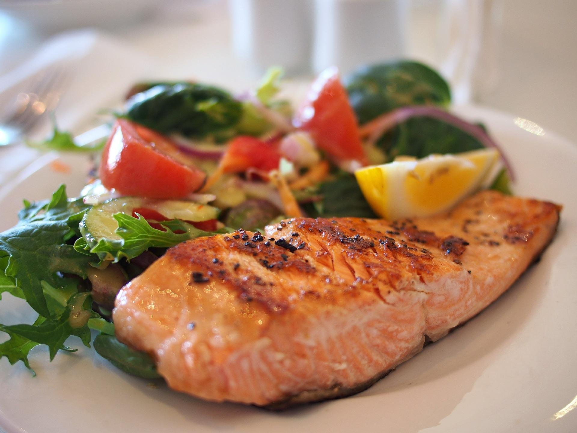 salmon-ga558a3bec_1920.jpg